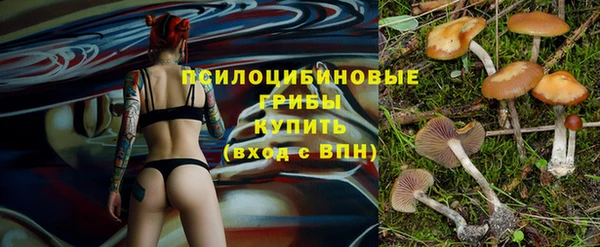 трава Аркадак