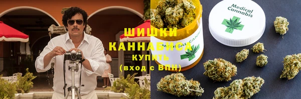 трава Аркадак